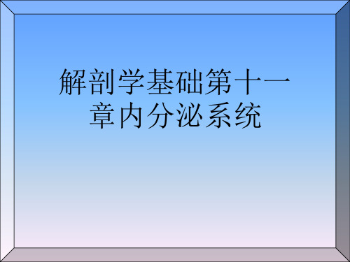 解剖学基础第十一章内分泌系统[可修改版ppt]