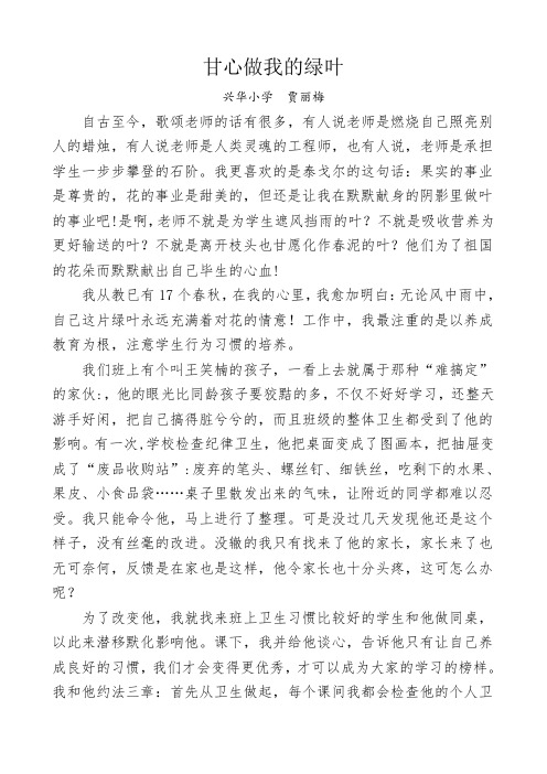 兴华贾丽梅 演讲稿