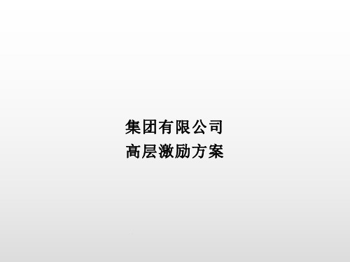 集团有限公司高层激励方案