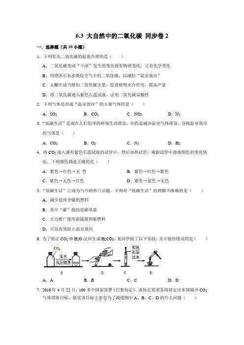 鲁教五四制版化学八年级全一册大自然中的二氧化碳课时练习