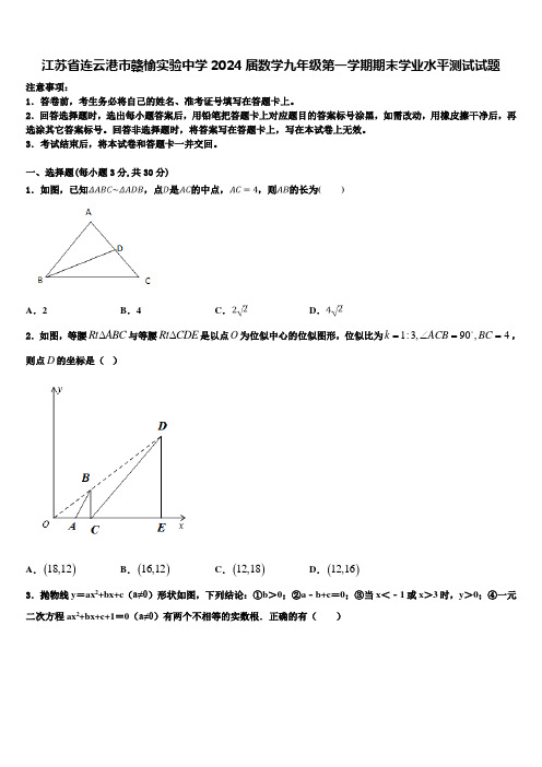 江苏省连云港市赣榆实验中学2024届数学九年级第一学期期末学业水平测试试题含解析