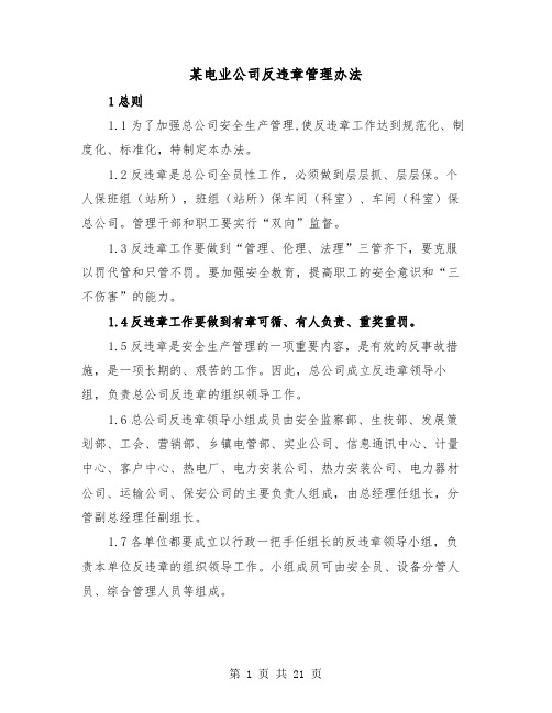 某电业公司反违章管理办法（2篇）