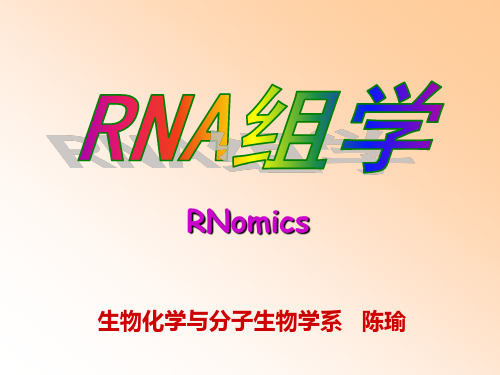 RNA组学