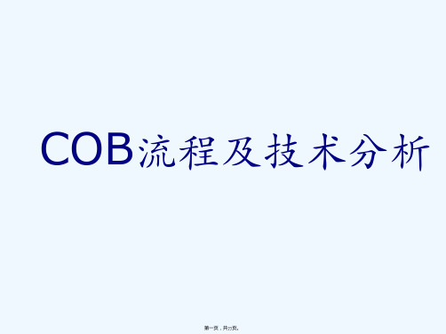 COB流程及技术分析专题讲座PPT