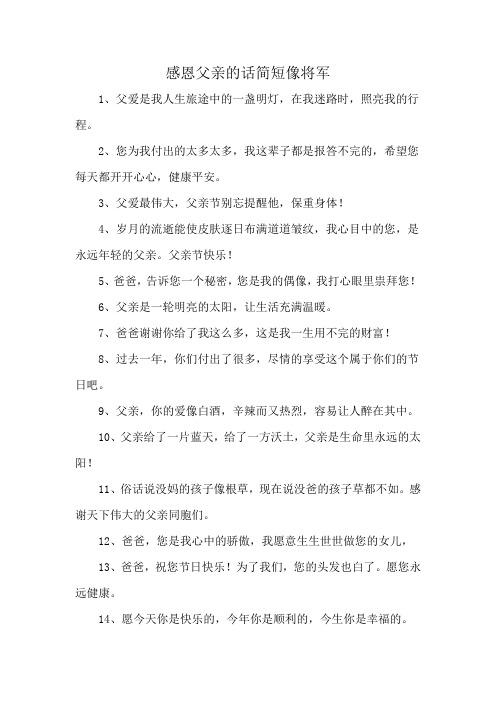 感恩父亲的话简短像将军