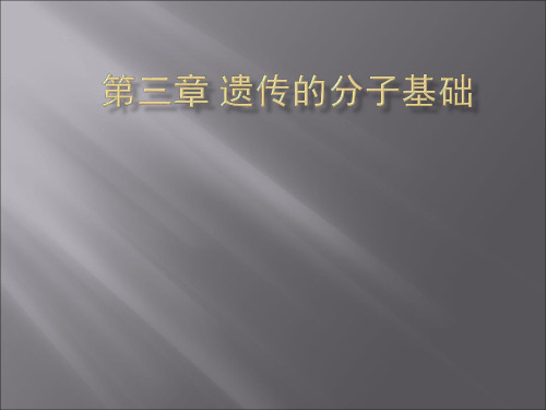 浙教版高中生物必修二第三章《遗传的分子基础》基本概念课件(共17张PPT)