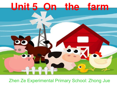 牛津小学英语6A Unit 5 on the farm课件