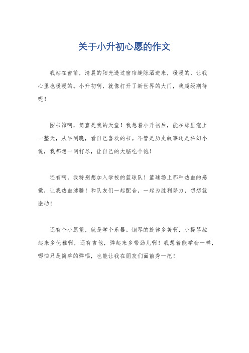 关于小升初心愿的作文