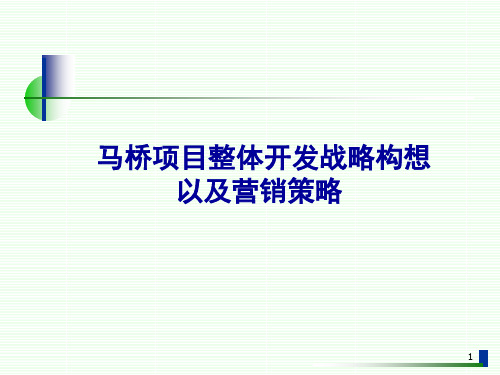 某项目整体开发战略构想以及营销策略课程(PPT 84页)