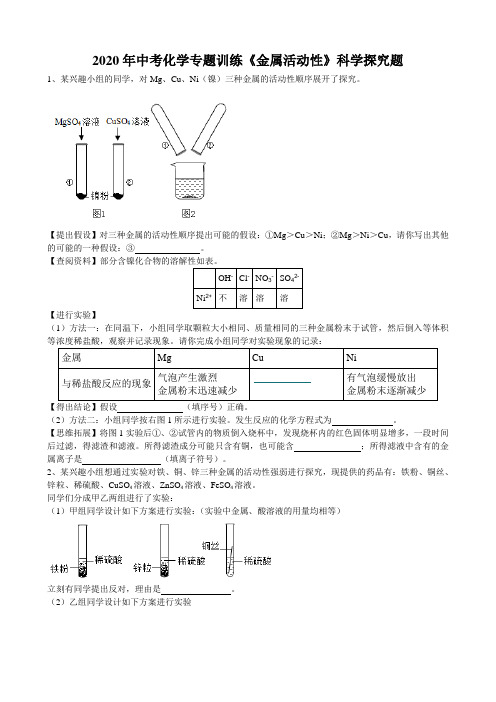 2020年安徽省中考化学专题强化训练《金属活动性》科学探究题(word版有答案)