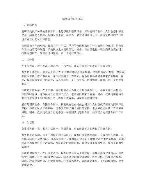 清明自查自纠报告