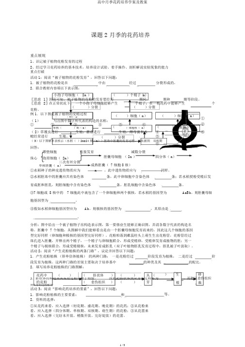 高中月季花药培养学案及教案