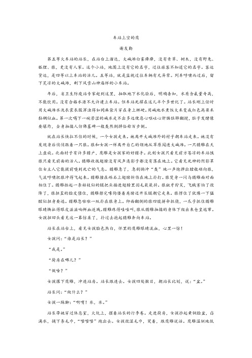 (word完整版)初中小说阅读题《车站上空的鹰》