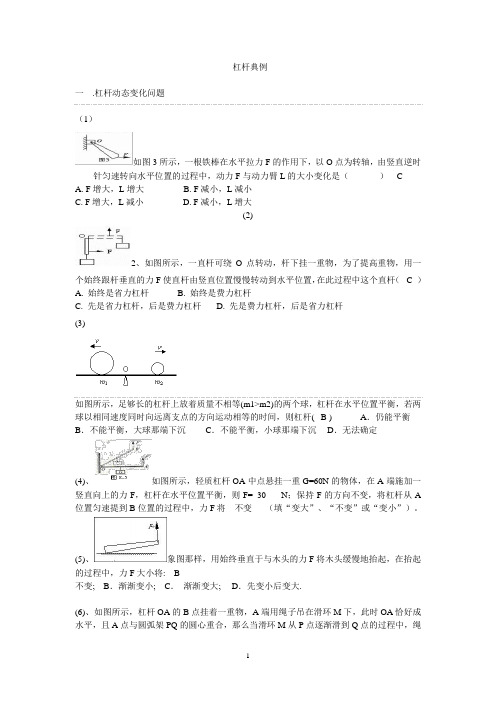 杠杆精选专题训练含答案