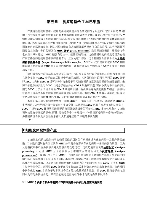 5 抗原递呈给T淋巴细胞