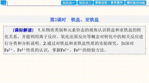 第一节   第2课时 铁盐、亚铁盐