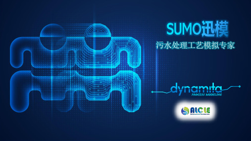 Dynamita DT Sumolator 2 迅模SUMO污水处理工艺模拟软件说明书