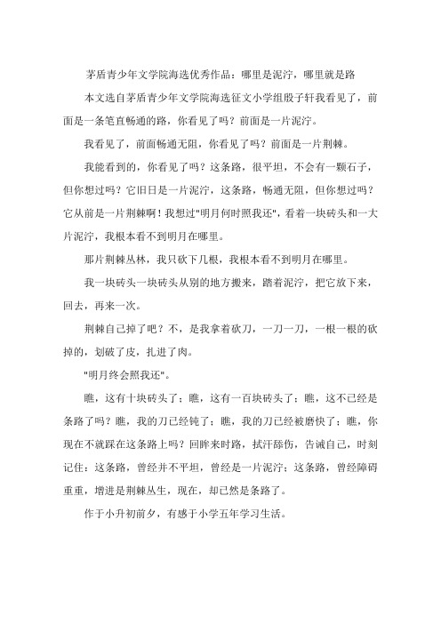 茅盾青少年文学院海选优秀作品:哪里是泥泞哪里就是路-作文