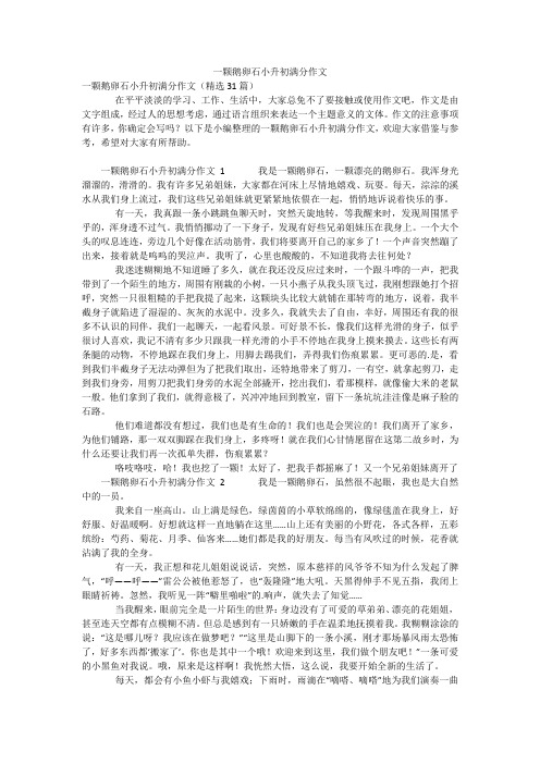 一颗鹅卵石小升初满分作文