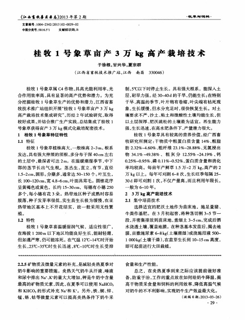 桂牧1号象草亩产3万kg高产栽培技术