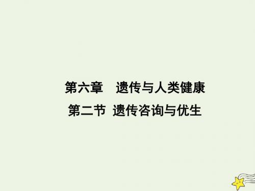 高中生物6.2遗传咨询与优生课件2浙科版必修2