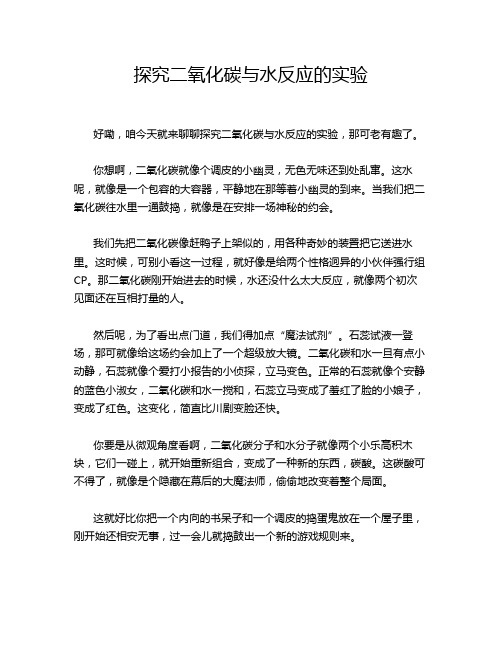 探究二氧化碳与水反应的实验