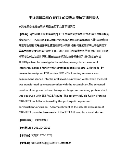 干扰素诱导蛋白IFIT1的克隆与原核可溶性表达