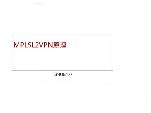 MPLSL2VPN原理培训胶片(PPT 45张)