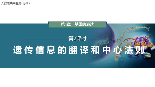 【课件】遗传信息的翻译和中心法则课件2022-2023学年高一下学期生物人教版必修2