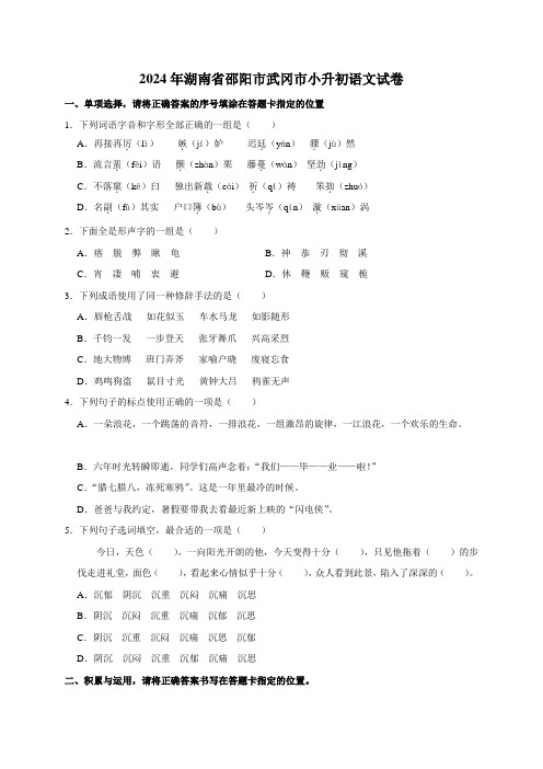 2024年湖南省邵阳市武冈市小升初语文试卷(原卷全解析版)