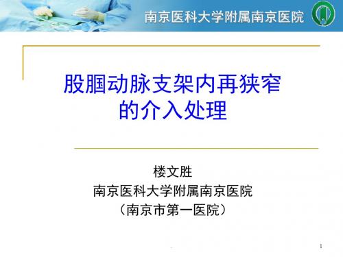 股腘动脉支架内再狭窄的介入处理PPT课件