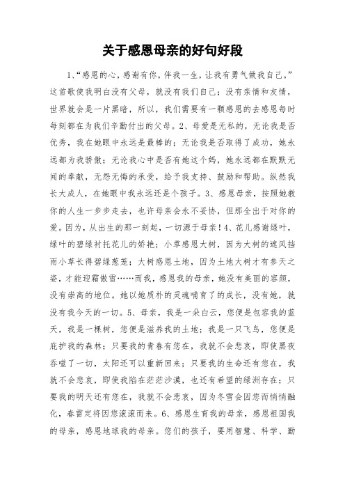 关于感恩母亲的好句好段_作文素材