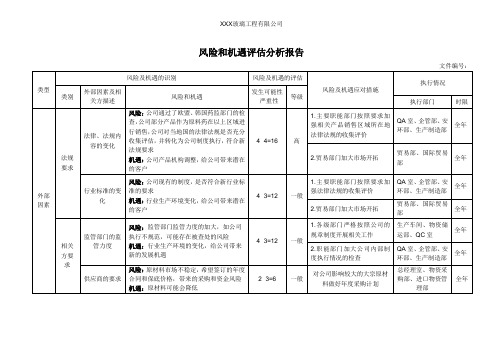 风险和机遇评估分析报告