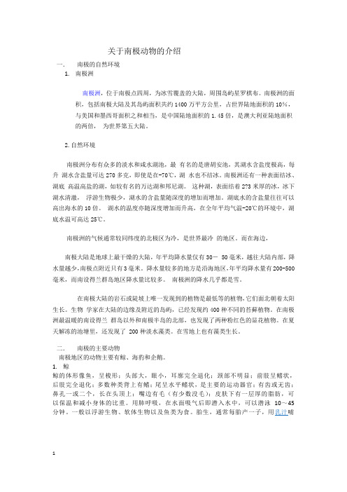 关于南极动物的介绍