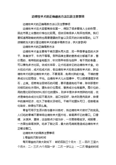 边境牧羊犬的正确喂养方法以及注意事项