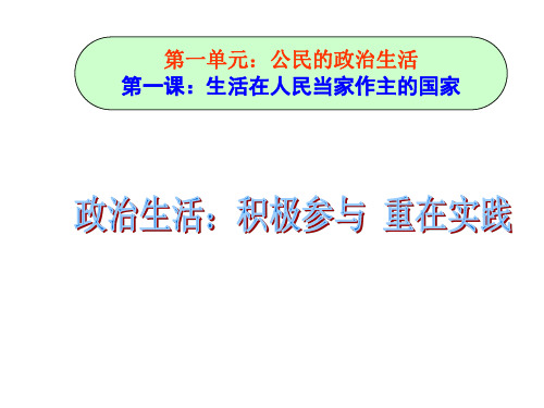 高一政治政治生活：积极参与-重在实践2(201911)