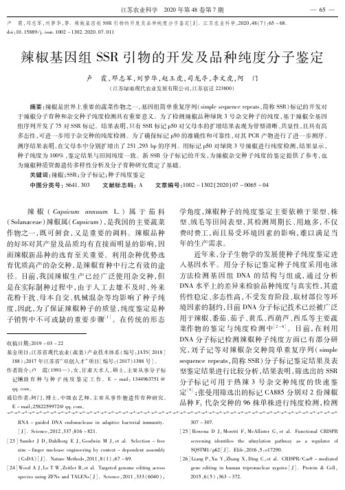 辣椒基因组SSR引物的开发及品种纯度分子鉴定