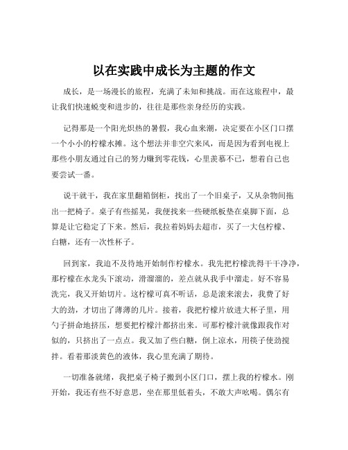 以在实践中成长为主题的作文