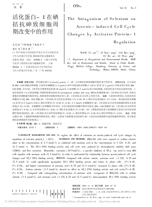 活化蛋白_1在硒拮抗砷致细胞周期改变中的作用_王艺陪