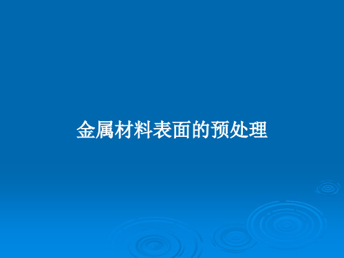 金属材料表面的预处理PPT教案