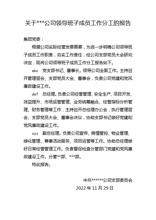 关于abc公司领导班子成员工作分工的报告