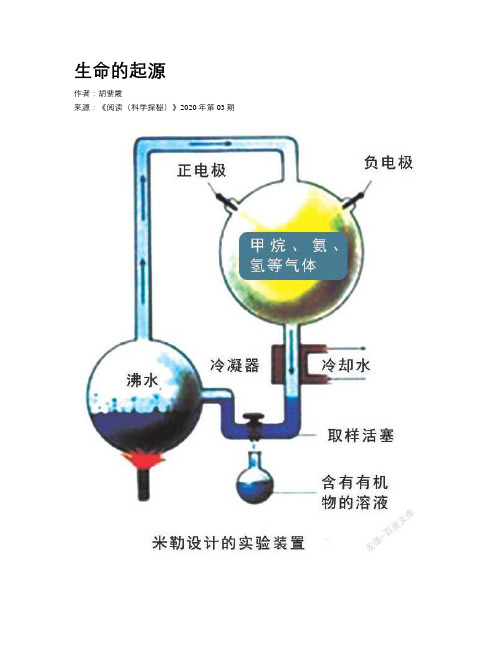 生命的起源