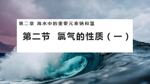 氯气的性质说课