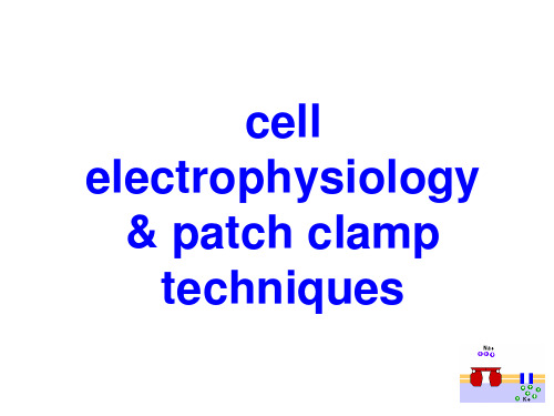 细胞电生理学与膜片钳技术