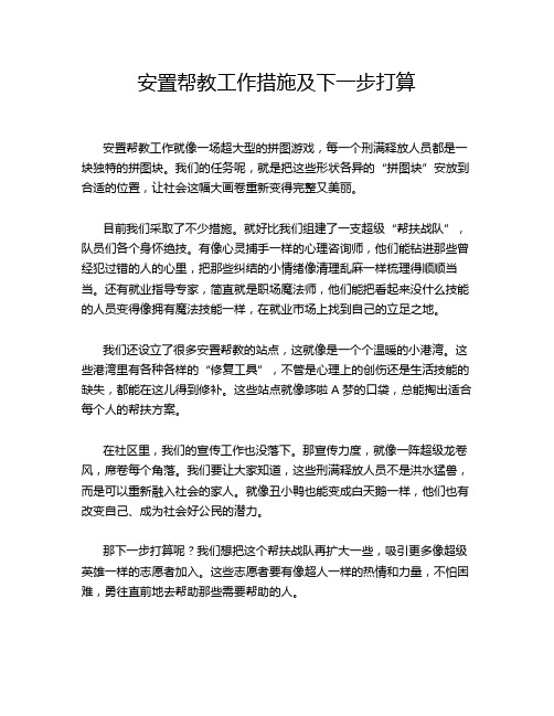 安置帮教工作措施及下一步打算