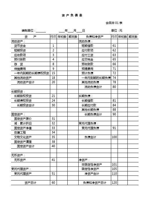 民间非营利组织财务报表