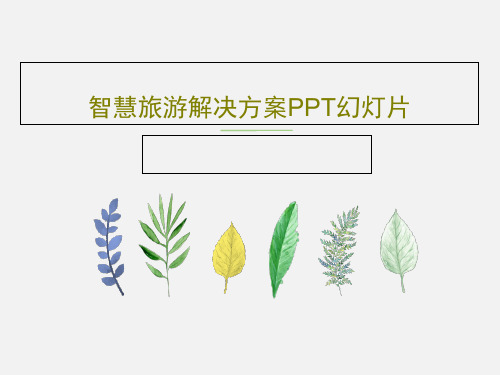 智慧旅游解决方案PPT幻灯片共30页文档