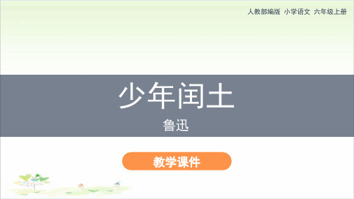 《少年闰土》ppt—人教部编版少年闰土完美课件1