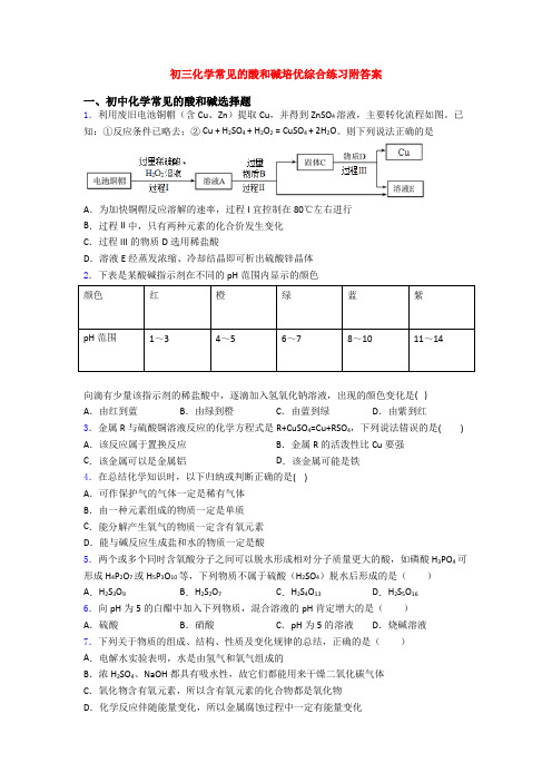 初三化学常见的酸和碱培优综合练习附答案