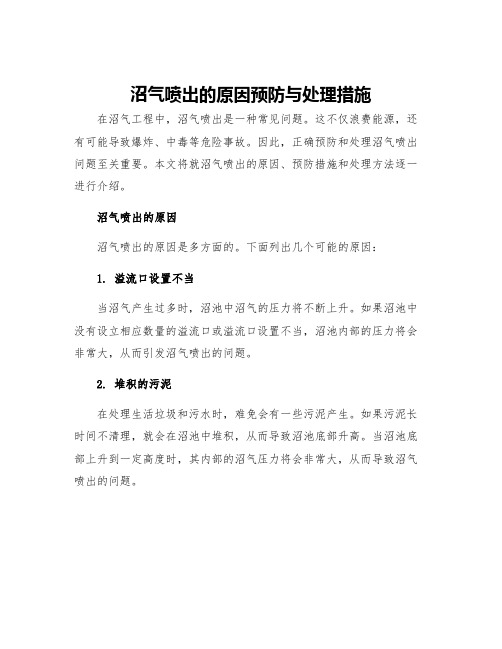 沼气喷出的原因预防与处理措施